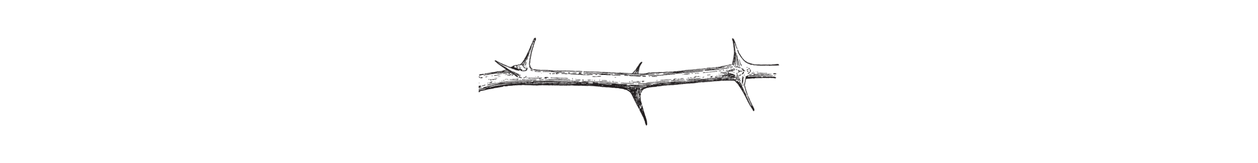 thorns